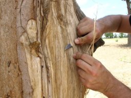 269167_10150261348579901_5977474_n